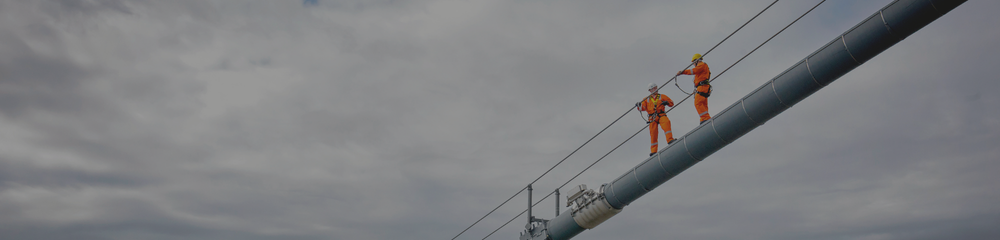 Banner Single Post
